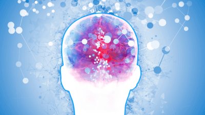 Study Suggests Meditation Improves Brain Structure and Function