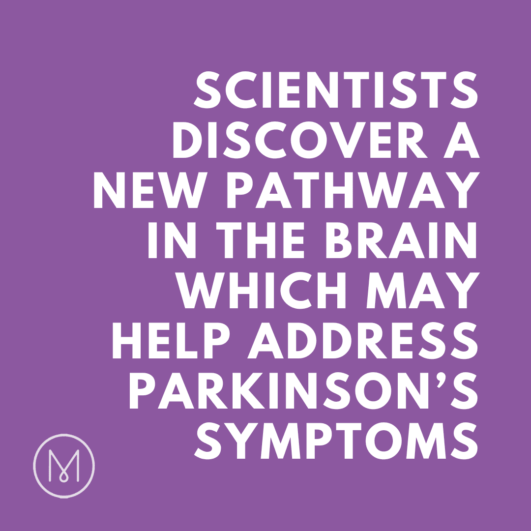 Scientists discover a new pathway in the brain which may help address Parkinson’s symptoms