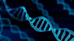 epigenetics