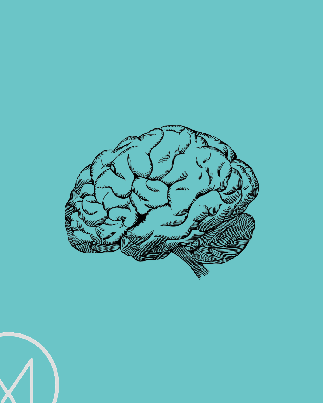 Brain Awareness Week: How Yoga’s Eight Limbs Drive Neuroplasticity